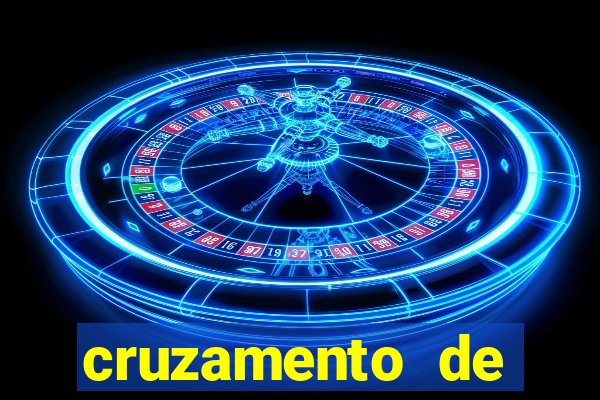 cruzamento de cavalo com mula